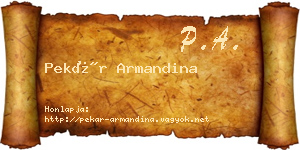 Pekár Armandina névjegykártya